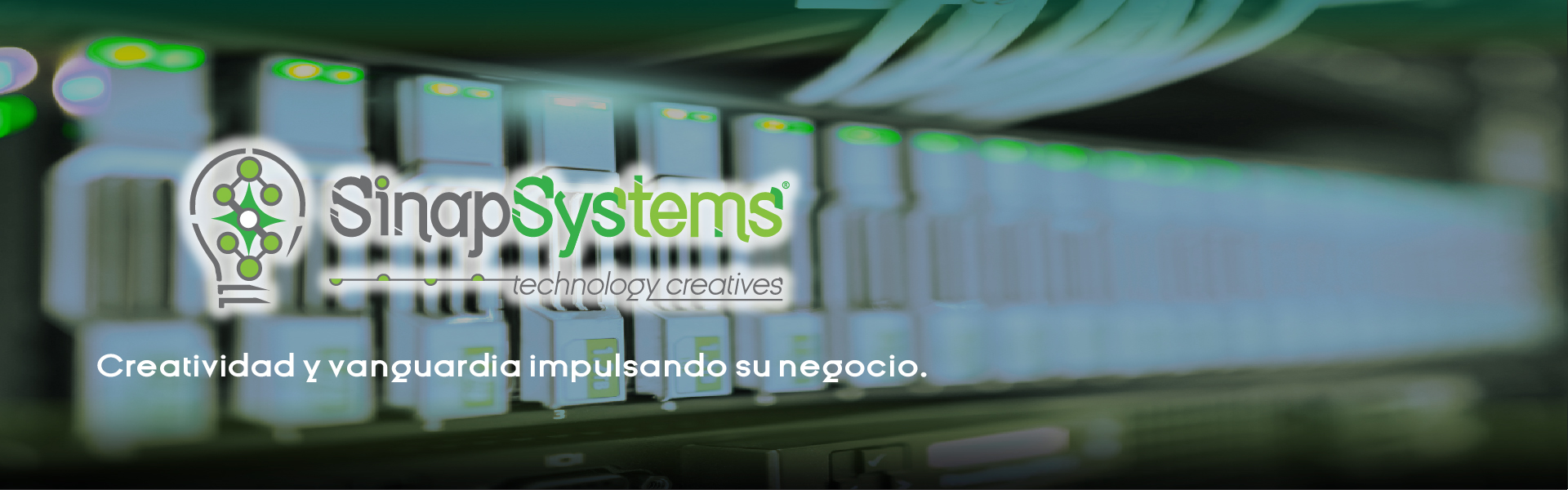 Sinapsystems