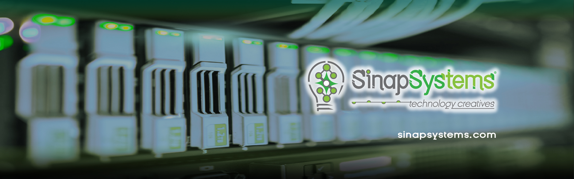 Sinapsystems