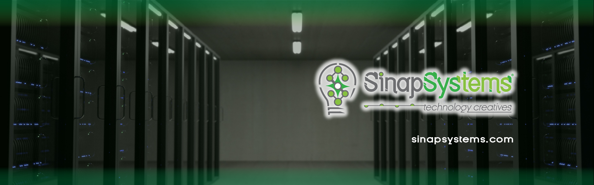 Sinapsystems