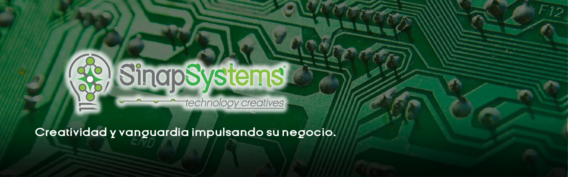 Sinapsystems